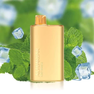 Mint Breeze Alibarbar Rich 8000 Vape